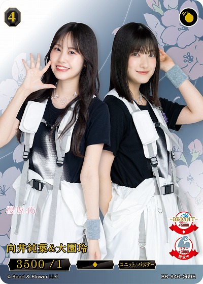 向井純葉&大園玲 【BB-S46-069R】